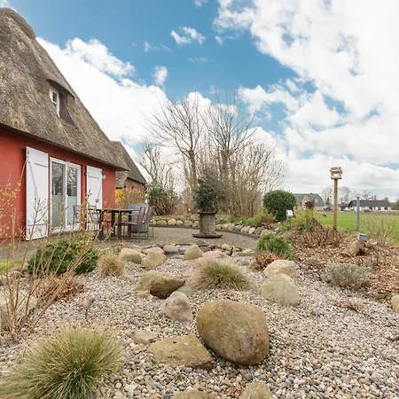 Hyggehues * Risum-Lindholm