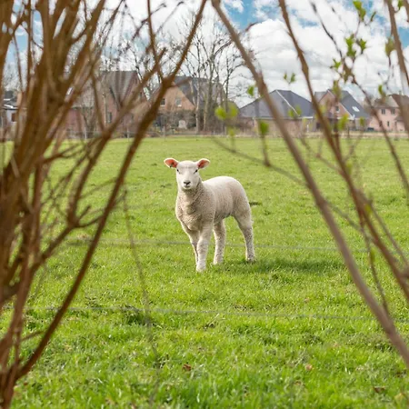 Prázdninový dům Hyggehues Risum-Lindholm
